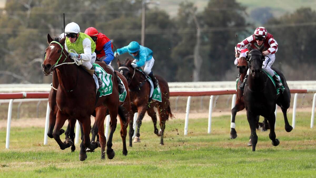 Gundagai was the epicentre of Riverina racing on Saturday. Pictures: Les Smith