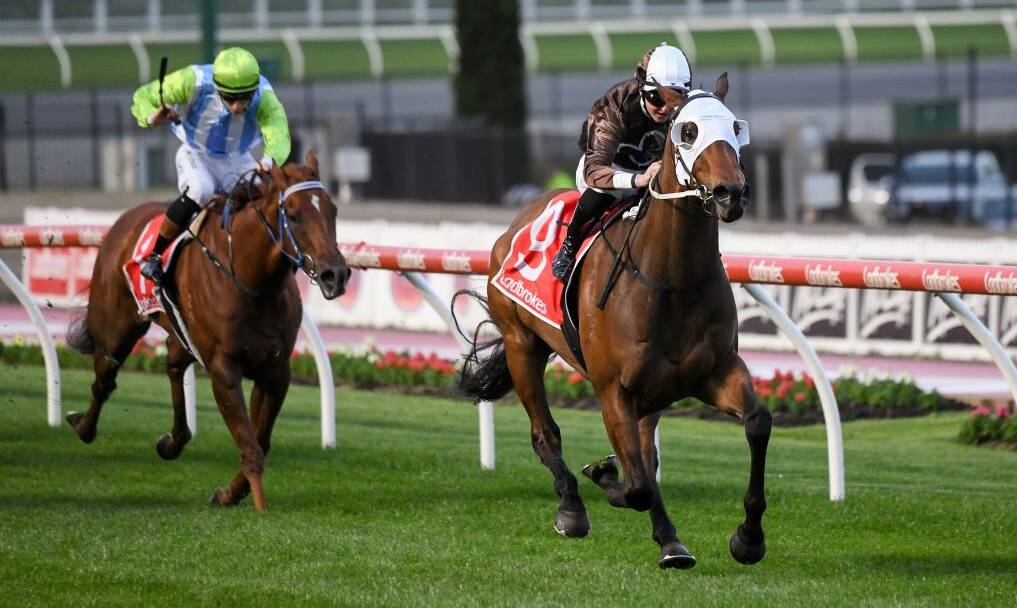 UNCERTAIN: Front Page ran well last start at Moonee Valley, but a wide barrier draw could cruel his Kosciuszko hopes. Picture: Racing Photos