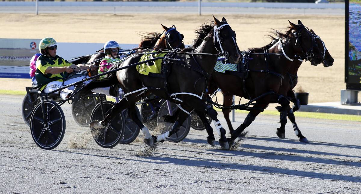 GOOD WIN: Blake Micallef drives Im OK to victory at Wagga's harness meeting on Saturday night. Picture: Les Smith