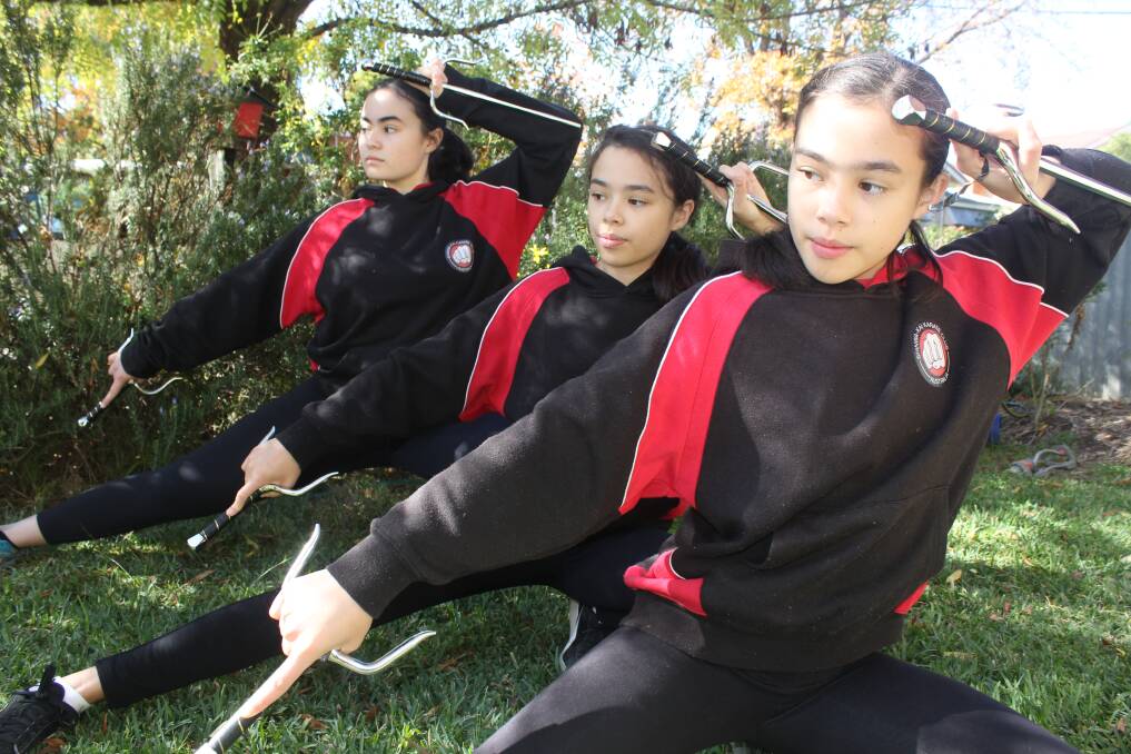 ISO TRAINING: Shinwa-Kai Karate Club students train at home during the COVID-19 restriction. Picture: Shinwa-Kai Karate Club 