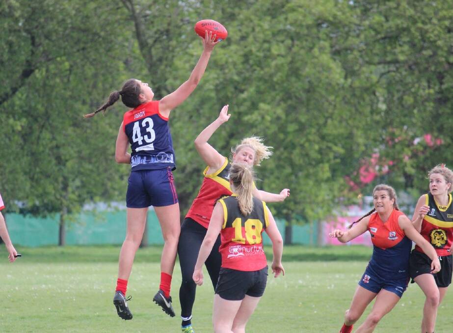 AIR JORDAN: Jordan Barrett wins a hit-out playing for Wandsworth Demons in the AFL London competition: Picture: Danny Radis Photography