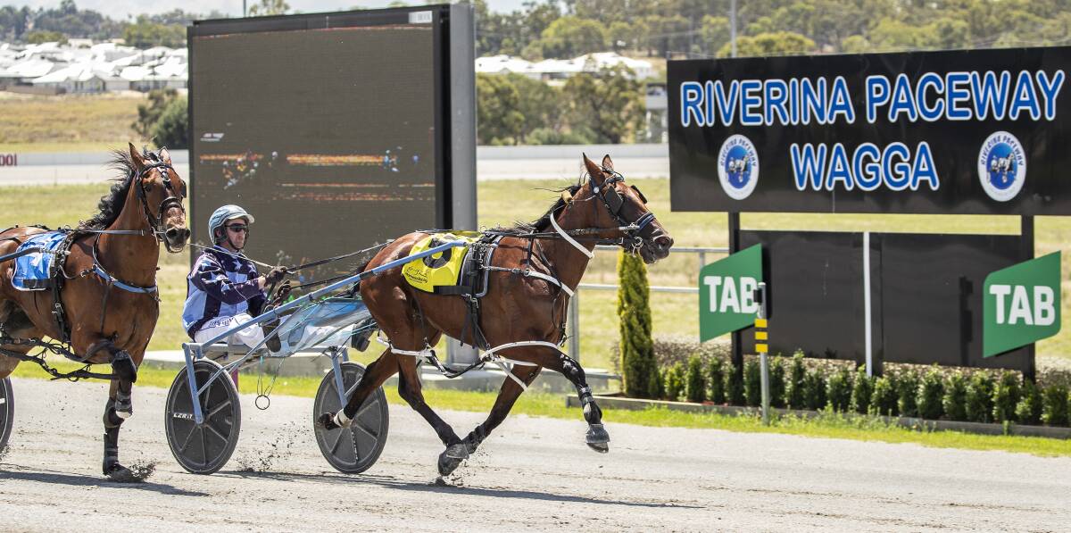 CLASSY: Sporting Robyn justified her very short odds. Picture: Ashley Smith