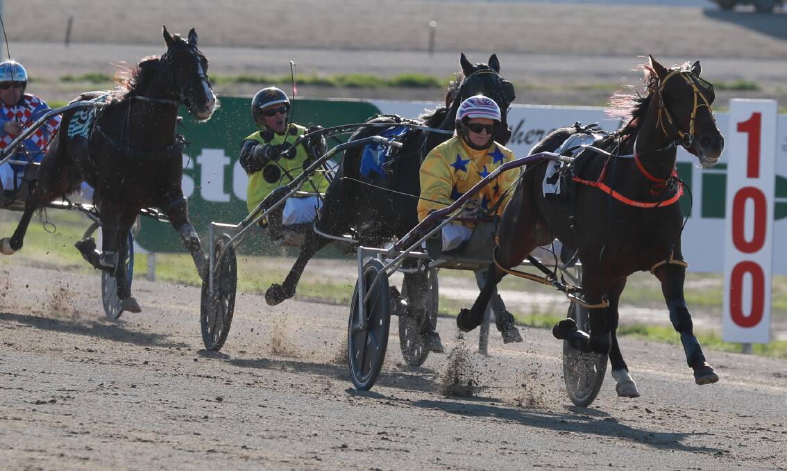 Uroc Skinny Jeans strode to an impressive win in the West Wyalong Breakfast Club Pace on Sunday. Picture: Les Smith 