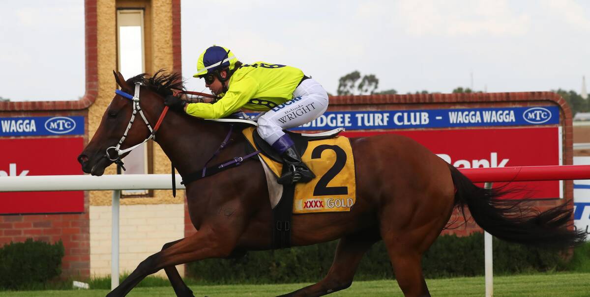 IN MARKET: Fashion Tip is expected to be a strong contender at Wagga on Monday. 