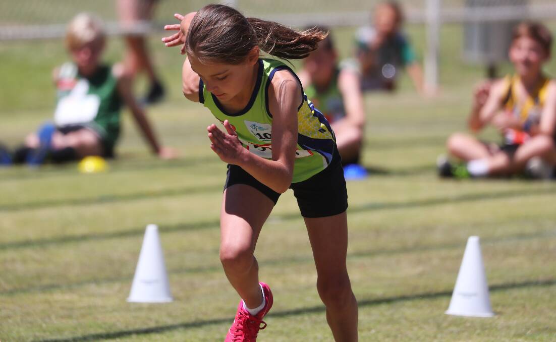 Wagga Wagga Little Athletics Club held their annual carnival at the Jubilee track on Sunday. Pictures: Emma Hillier