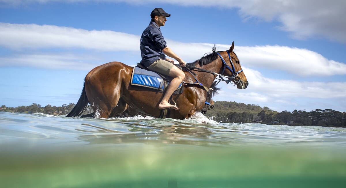 SINK OR SWIM: Canberra trainer Matthew Dale with stable star Fell Swoop in the Moruya River last year. Picture: Sitthixay Ditthavong