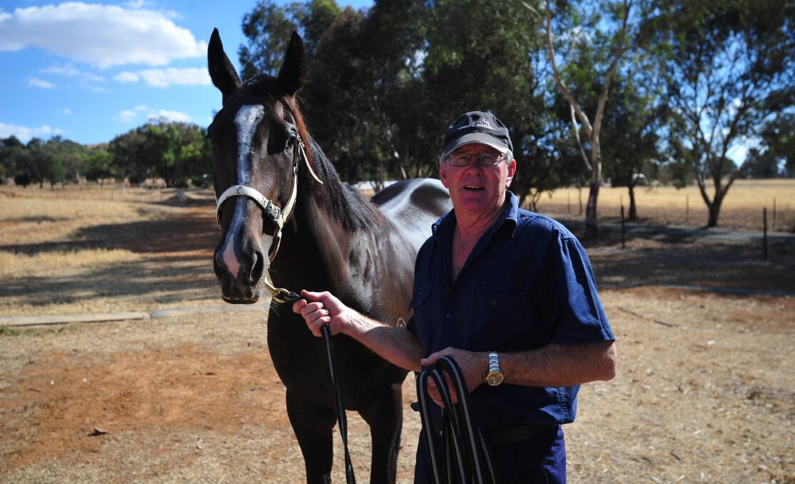 STRONG WIN: Wagga trainer Wayne Carroll, pictured with Lady Mironton in 2019, secured a win with Sumdeel at Albury on Saturday.