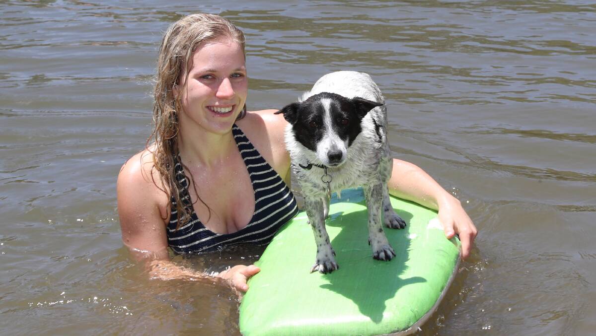 Pip Lloyd from Wagga with seven-year-old Whippy cooled down at the beach. Picture: Les Smith
