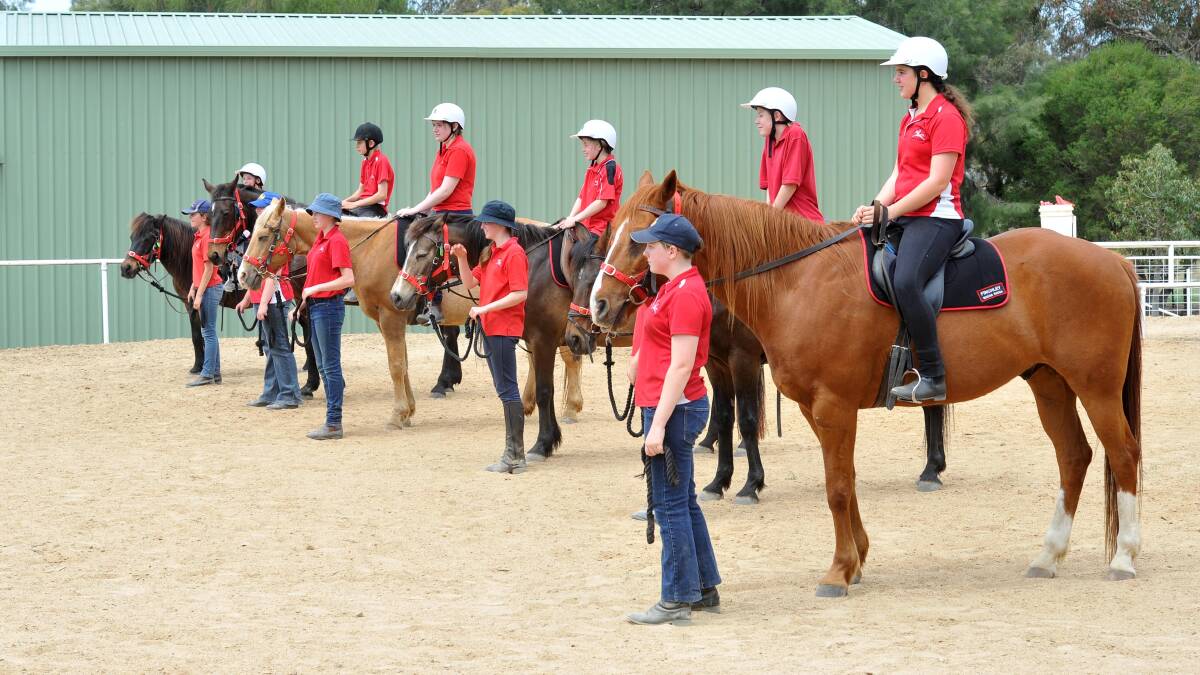 A Riding for the Disabled open day.