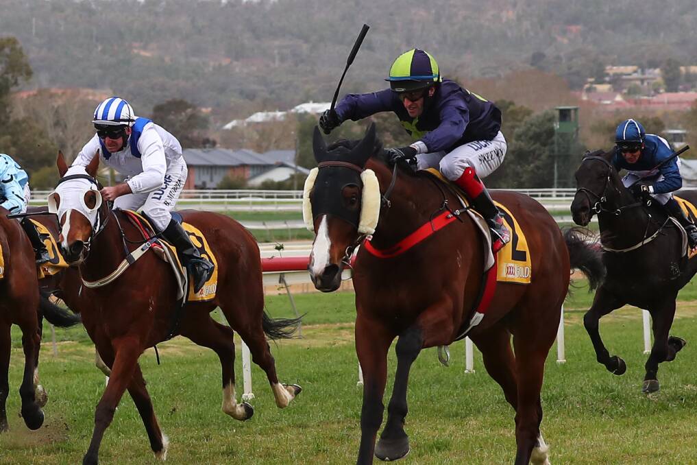 Hilltop Hood scores it's maiden victory on Ag Raceday this year. Picture: Emma Hillier