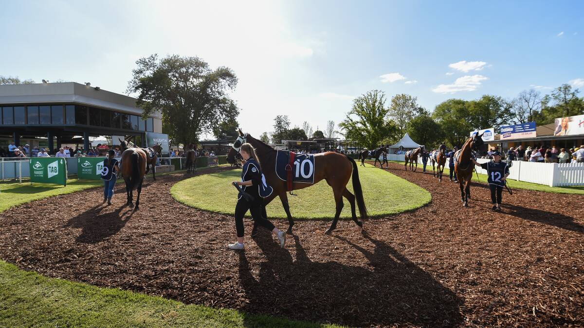 BIG DAY: The crowd gathers around the mounting yard ahead of the SDRA Country Championships Qualifier at Albury on Saturday. Picture: Mark Jesser