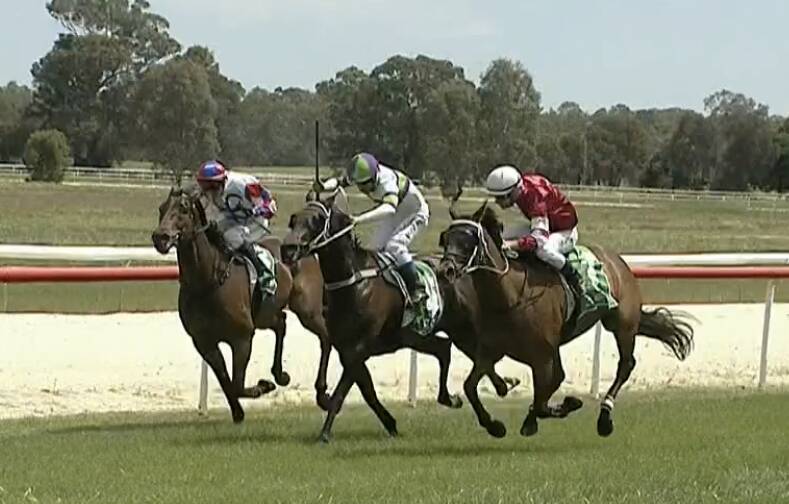 TIGHT FINISH: Saint Henry (middle) edges out Fromista (right) to win at Corowa on Monday.