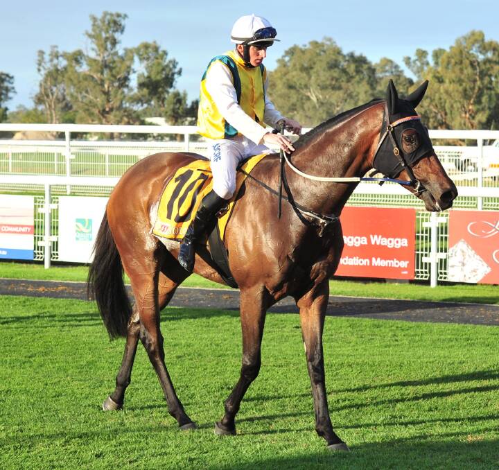 Man Of Peace, when trained by Dave Heywood at Wagga.