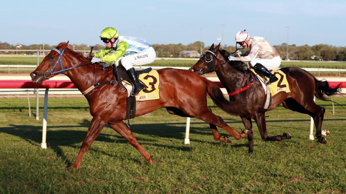 SELECTED: Front Page, winning a trial at Wagga last year, will represent the William Farrer Hotel in this year's Kosciuszko. Picture: Les Smith
