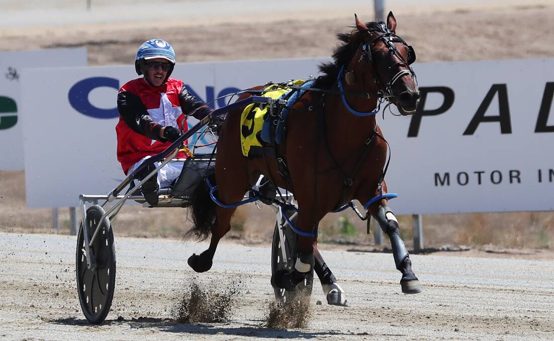 FULL FLIGHT: Crime Don't Pay races away for Blake Jones to win the opening race at Riverina Paceway on Friday. Picture: Emma Hillier