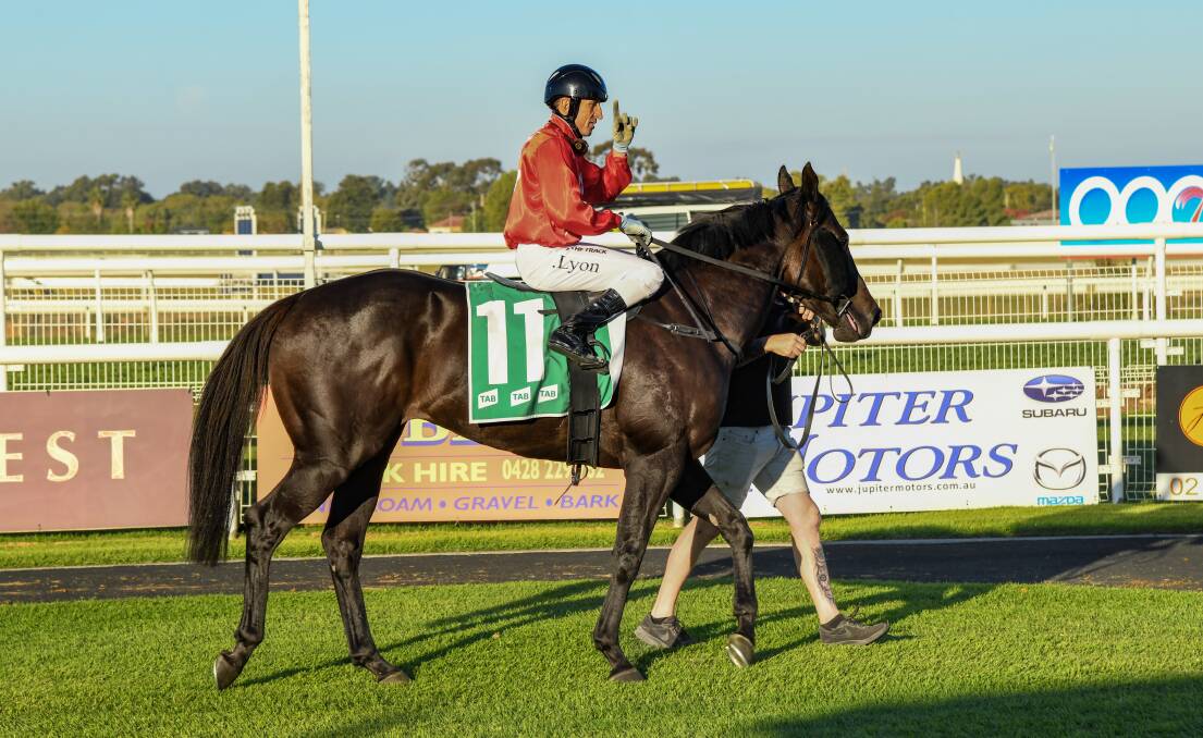 Jason Lyon gives a victory salute upon return with The Prodigal Son in the Wagga Town Plate Prelude on Sunday. Picture by Bernard Humphreys