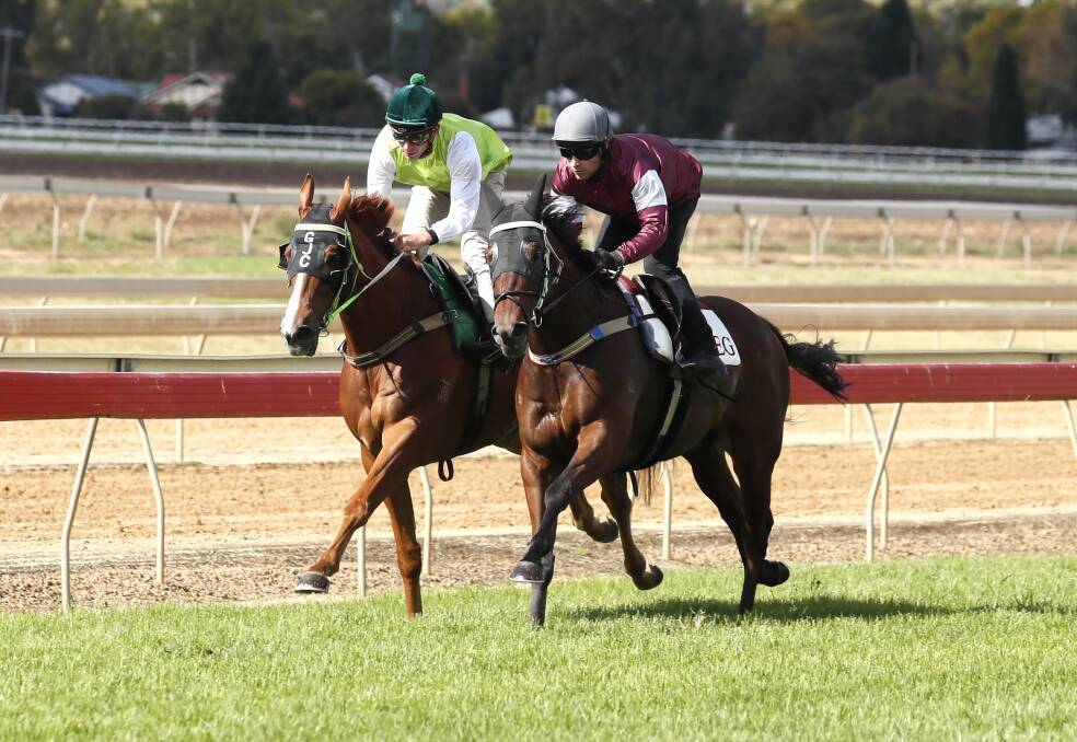 STRONG HIT-OUT: Another One, with Nick Heywood in the saddle, goes to the line alongside Irish Songs, with Jack Martin aboard, in a barrier trial at Wagga on Thursday. Picture: Les Smith