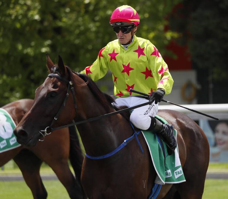 IN FORM: Mathew Cahill will be aboard Demanding Mo again at Albury on Thursday as the horse chases a third win from his last four starts. Picture: Les Smith