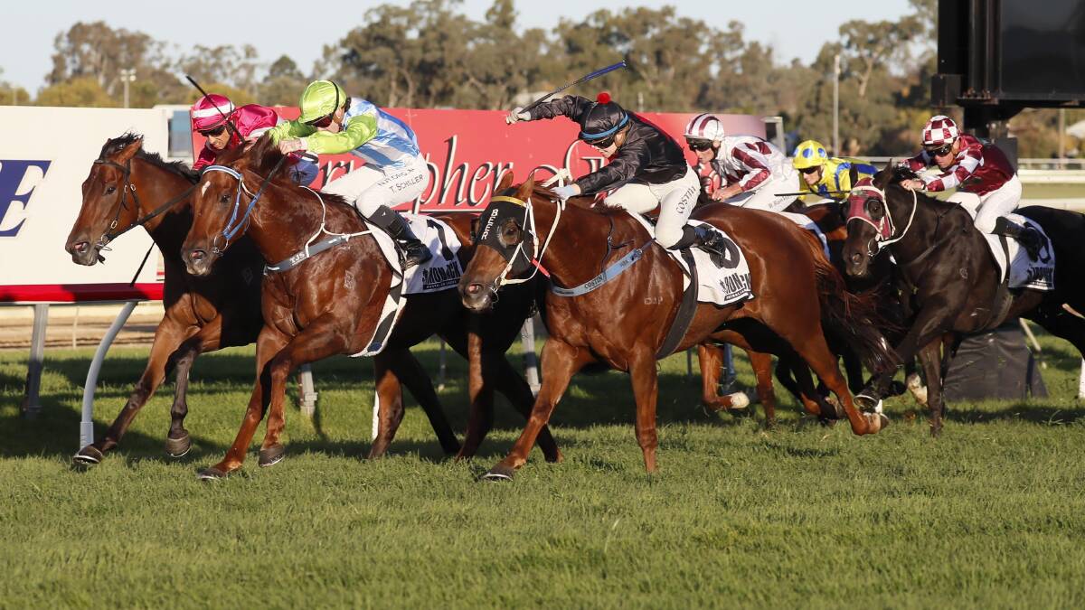 Mnementh comes charging home down the outside to edge out Front Page in this year's Wagga Town Plate (1200m). Picture by Les Smith