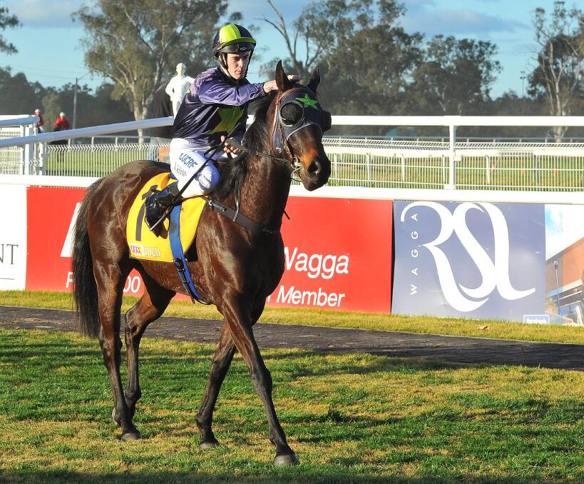 HAPPIER TIMES: John Kissick returning to the enclosure at Wagga after guiding Cherokee Warrior to victory in August 2016. 