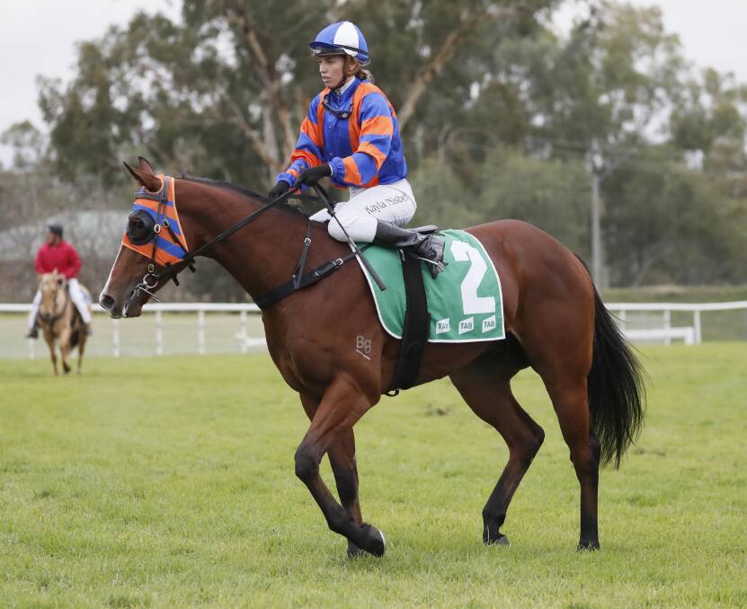 CITY BOUND: Last-start Wagga winner Lunar Shoes will be one of three Tim Donnelly runners at Rosehill on Saturday. Picture: Les Smith