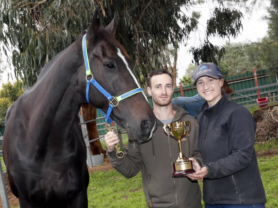 Maddy Collins and Josh Richards with The Doctor's Son before this year's Wagga Gold Cup. Picture by Les Smith
