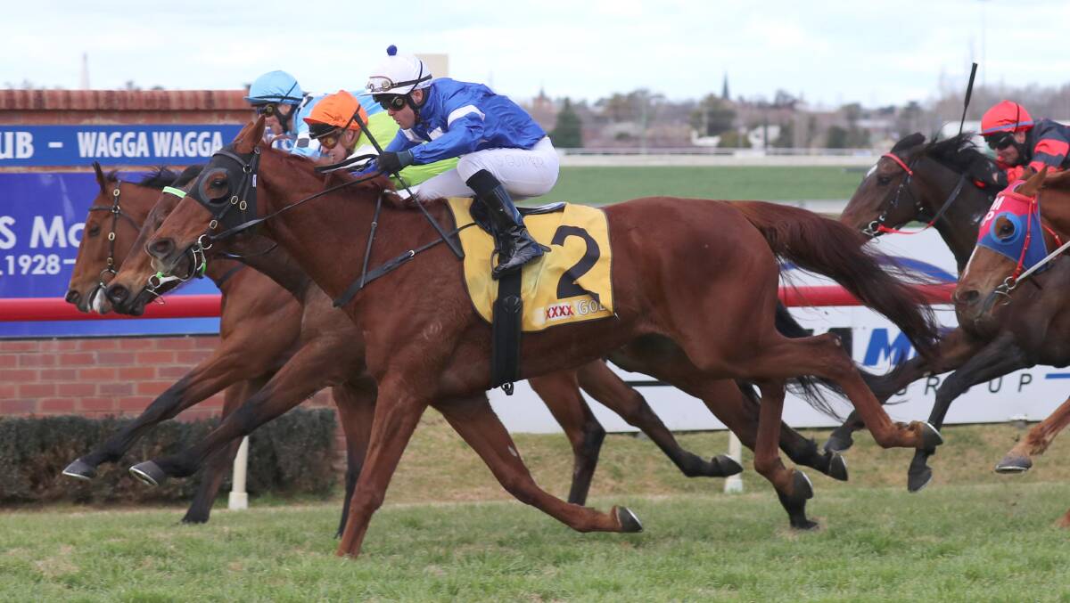 Handfast takes out the Ian Reid Sprint at Wagga. Picture: Les Smith