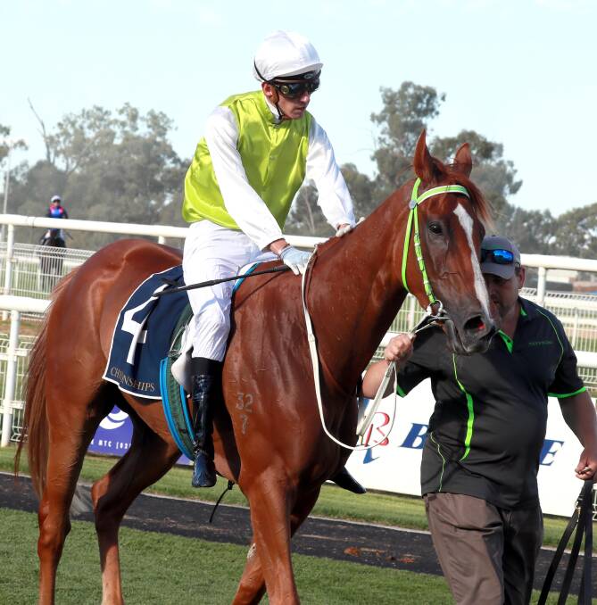 EXCITING TIMES: Another One, pictured with Nick Heywood in the saddle, will trial at Corowa on Friday. Picture: Les Smith