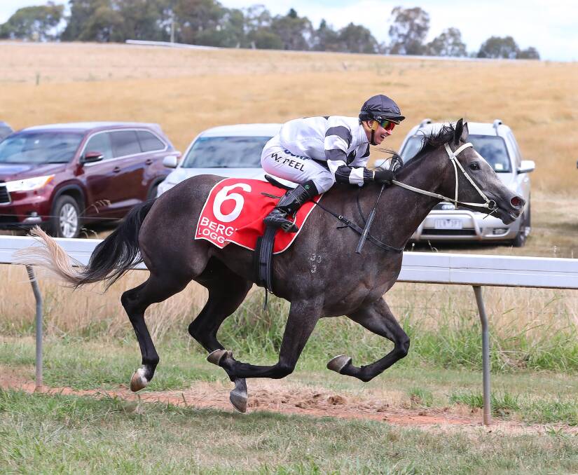NEXT TEST: Didnt Even Kiss Me taking out the Tumbarumba Cup last Saturday week. Picture: Kieren L Tilly