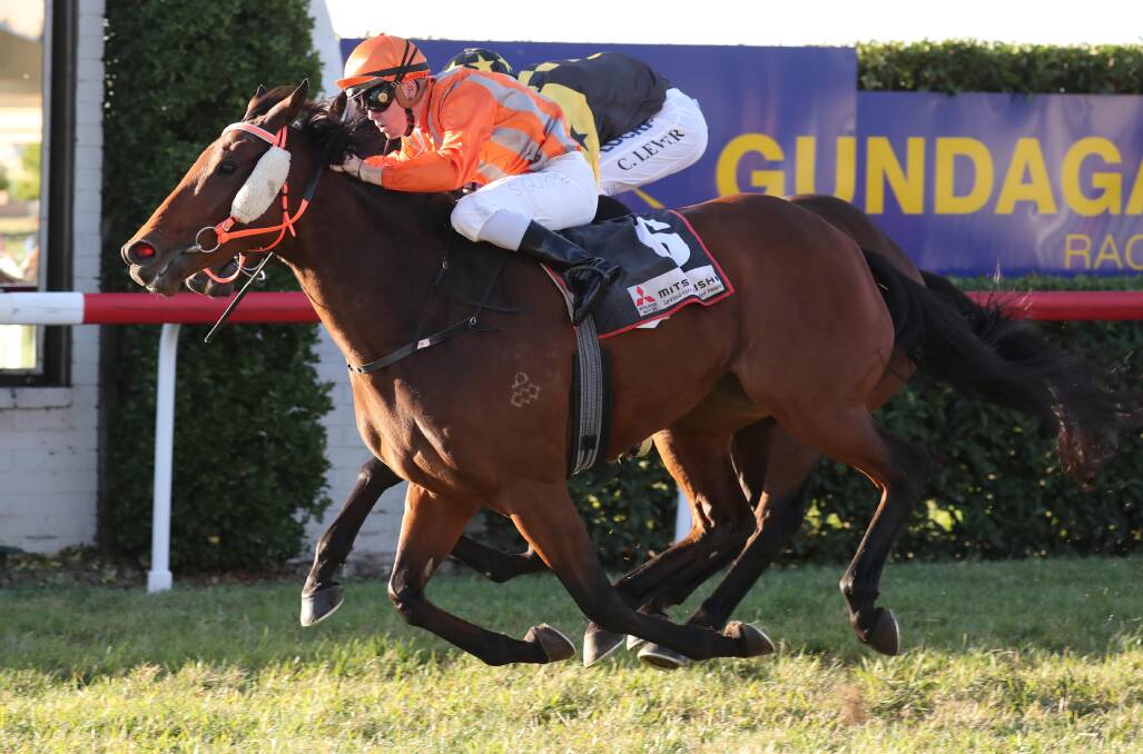 NOMINATED: Gundagai Cup winner American Time has been nominated for the League Of Their Own Mile (1600m) at Murrumbidgee Turf Club on Saturday.