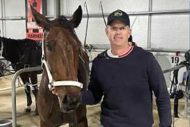 Wagga trainer Brett Woodhouse with Captain's Catch after his Regional Championships heat win on Tuesday night. Picture by Riverina Paceway