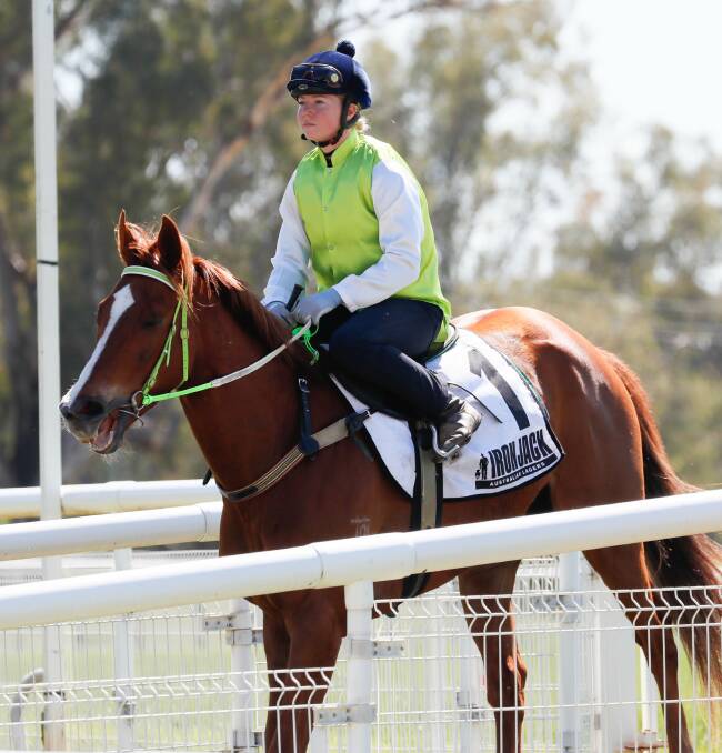 Another One, with Holly Durnan in the saddle, after his first trial at Wagga this campaign. Picture by Les Smith