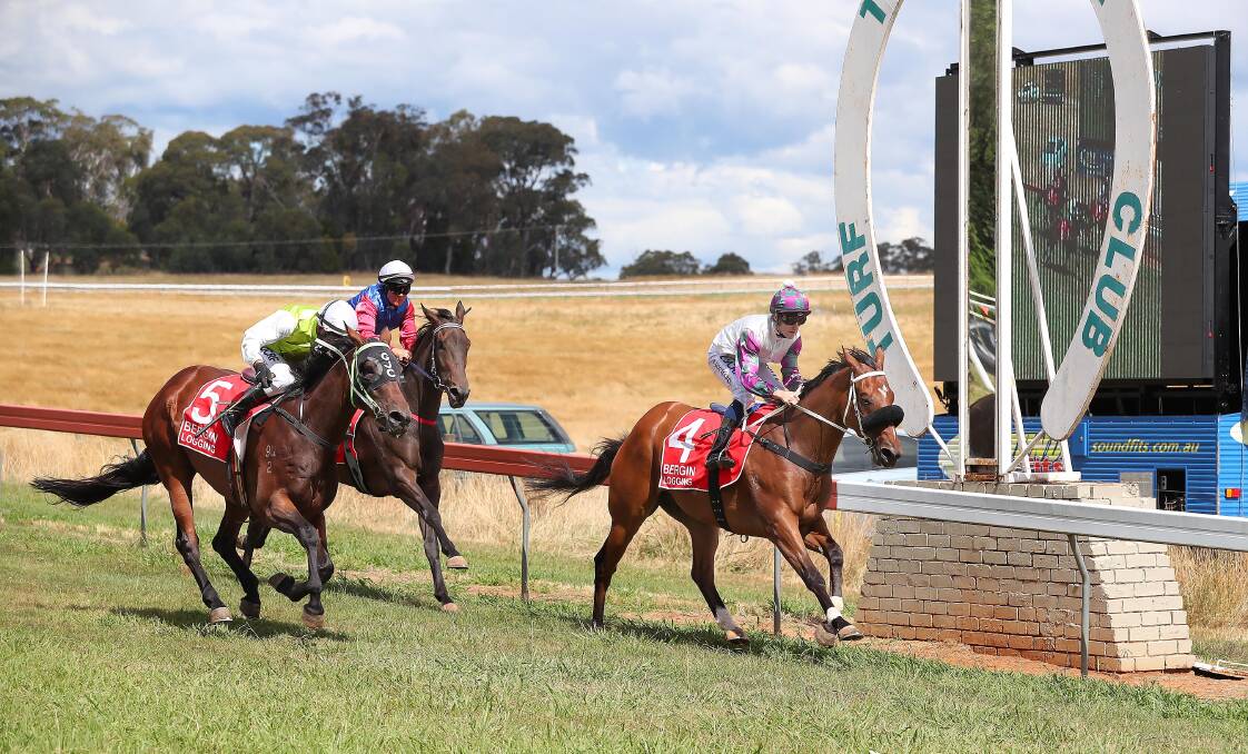 CLUB'S BIG DAY: Tumbarumba Turf Club will push ahead with their Cup meeting next month despite the damage done to the region by bushfires.