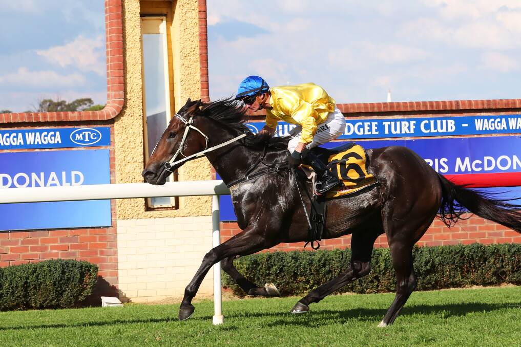 SIZZLING STUFF: Sizzleonthebridge, with Brendan Ward in the saddle, scores a dominant win at Wagga on Monday. Picture: Emma Hillier