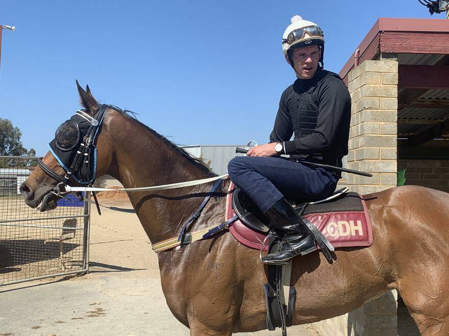 HOTHAM BOUND: Sister Hazel, with Nick Heywood in the saddle, after a recent jump out at Wagga.