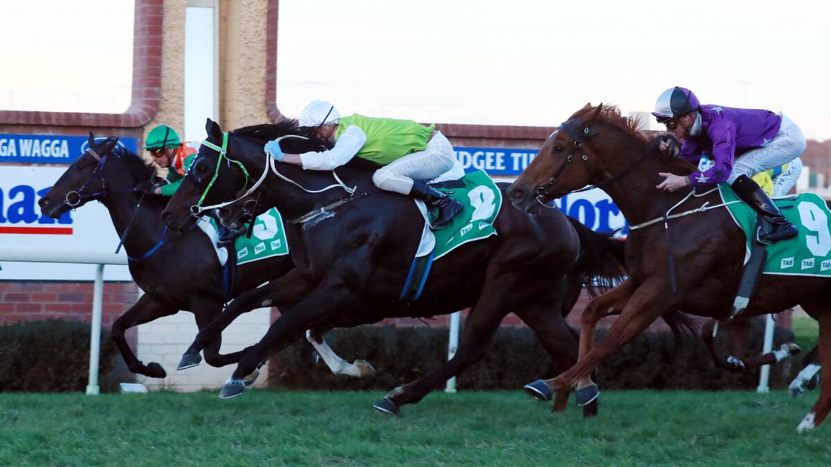 CLOSE CALL: Punters rejoiced as Monterey Zar (green and white) got the photo finish to win the last race on Wagga Gold Cup day. Picture: Les Smith