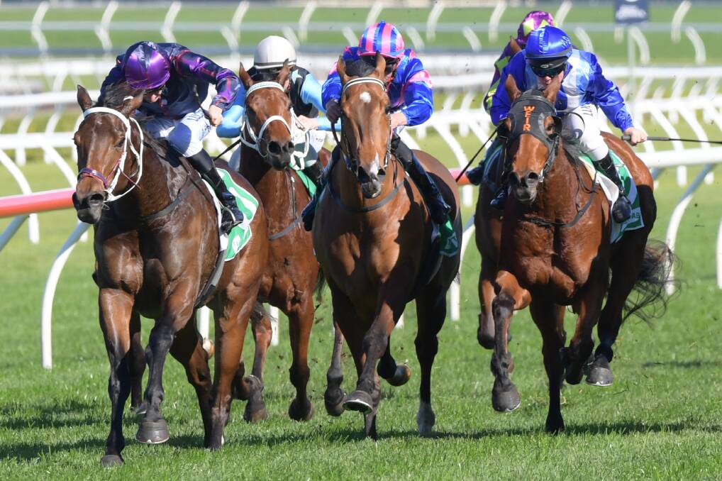 HIT THE HIGHWAY: Jounama (right) finishes third behind Highway Sixtysix in the Highway Handicap (1200m) at Royal Randwick a fortnight ago.