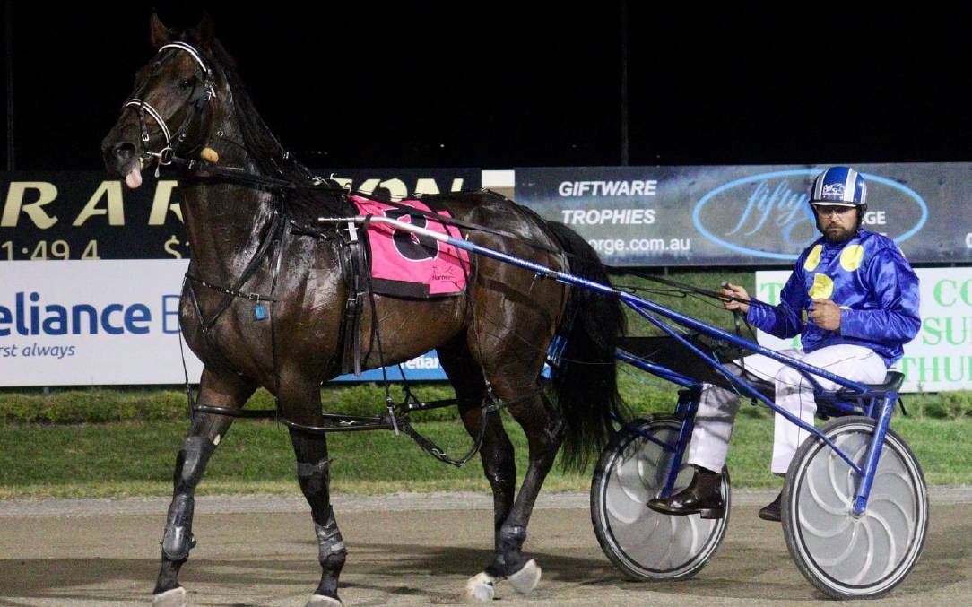 UNBEATEN: Talented Temora two-year-old Mister Rea with driver Daryll Perrot. Picture: Amy Rees