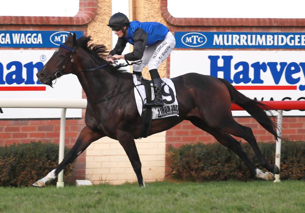 Marway winning last year's Wagga Town Plate. Picture: Les Smith