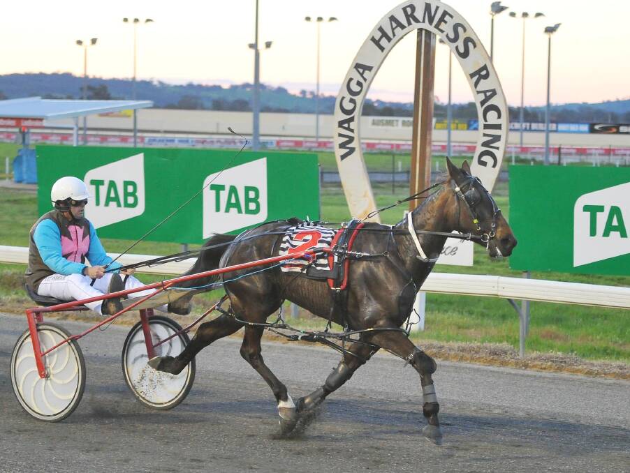 TWO IN A ROW: Million Dollar Gem gets to the post a winner for driver Scott Woodhouse in the second event at Wagga Paceway on Friday night.