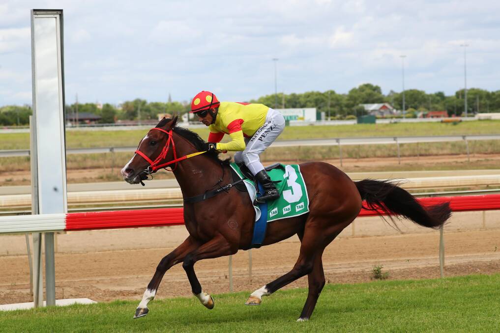 Nicholas passes the winning post on the Wagga Riverside track on Monday. Picture: Emma Hillier