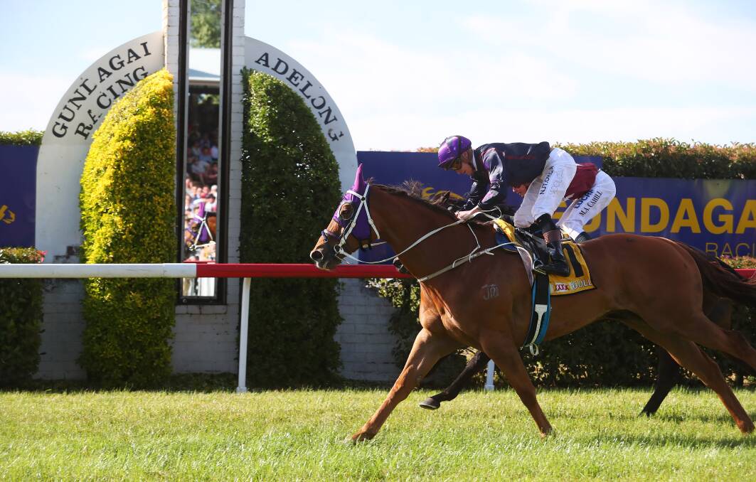 JUST IN TIME: Don't Give A Damn, with Blaike McDougall in the
saddle, claims Up Trumpz to win the $100,000 Snake Gully Cup
(1400m) at Gundagai on Friday. Picture: Emma Hillier