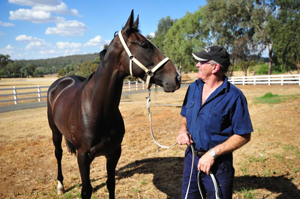 BIG MOMENT: Wagga trainer Wayne Carroll at home with Lady Mironton ahead of her run in the $500,000 Country Championships Final at Randwick on Saturday. Picture: John Gray