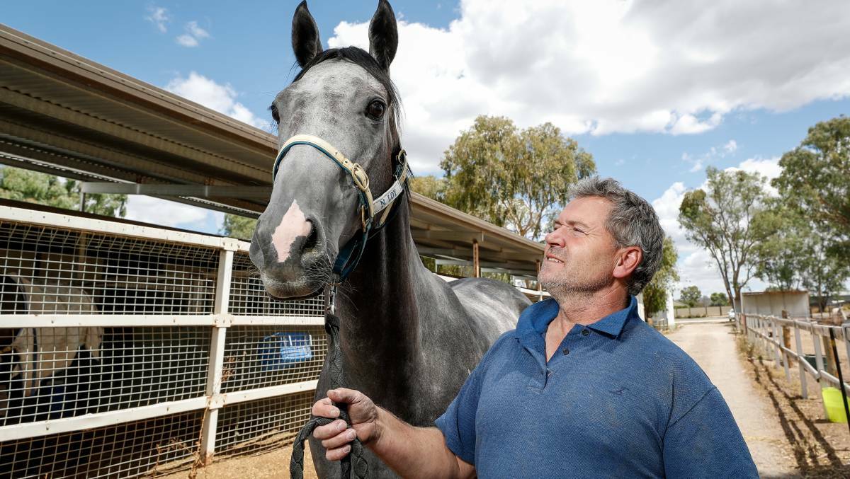 SHOWTIME: Albury trainer Norm Loy with Waiting For A Mate, who ran in last year's Country Championships Qualifier. Picture: The Border Mail