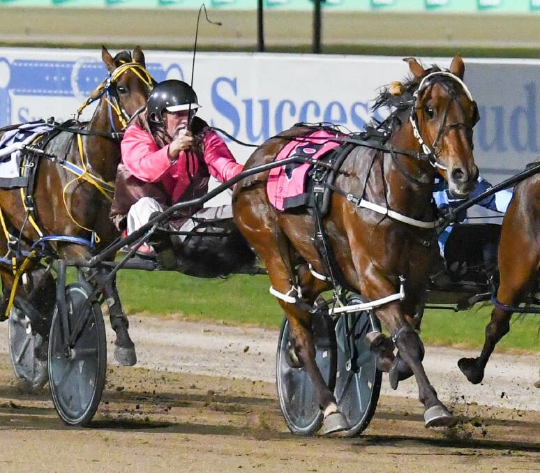 David Druitt gets the most out of Ideal In Dreams on Saturday night. Picture: Racing at Club Menangle Trackside