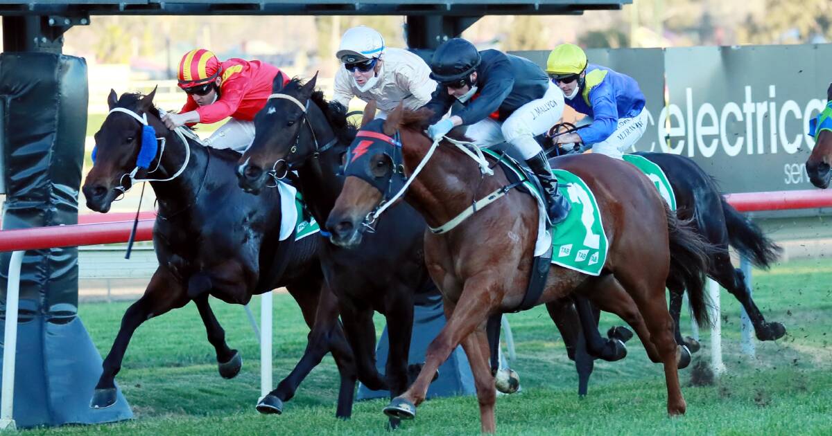 TIGHT FINISH: Mnementh (black colours) finishes too strong down the outside to win the final race at Wagga on Thursday. Pictures: Les Smith