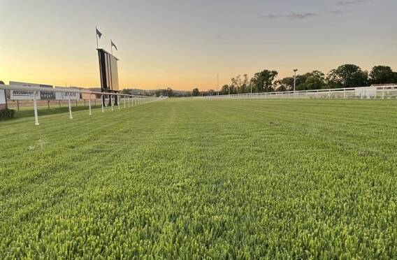 LET THEIR BE LIGHT: Murrumbidgee Turf Club must now wait for 'satisfactory visible light' until track work of a morning can commence, a move that is set to have a huge impact on industry participants.