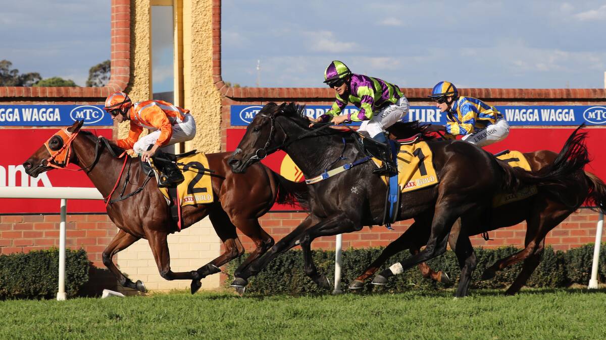 ONE TO BEAT: Levee Bank holds off Hay Now on Wagga Gold Cup day last year. The Daily Advertiser sports editor Matt Malone believes Levee Bank can take out the feature at Murrumbidgee Turf Club on Friday. Picture: Les Smith
