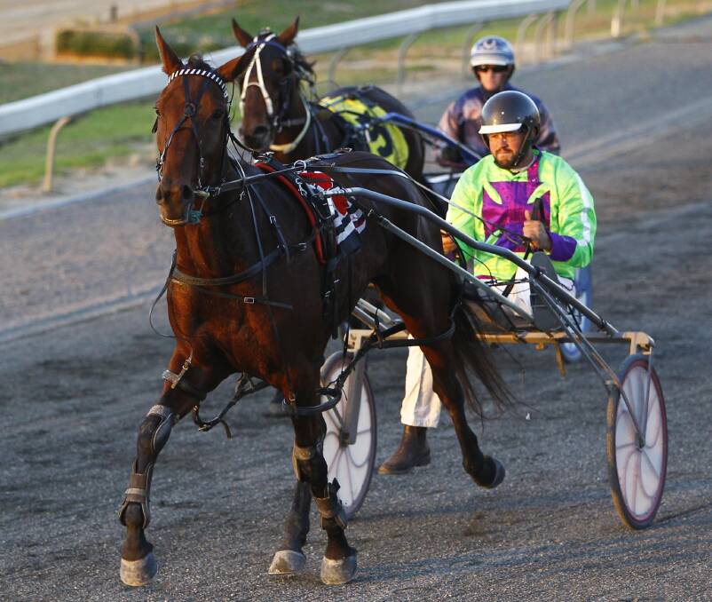 Brett Hogan in the driver's seat behind Alwaysuptomischief after winning at Wagga in 2017.