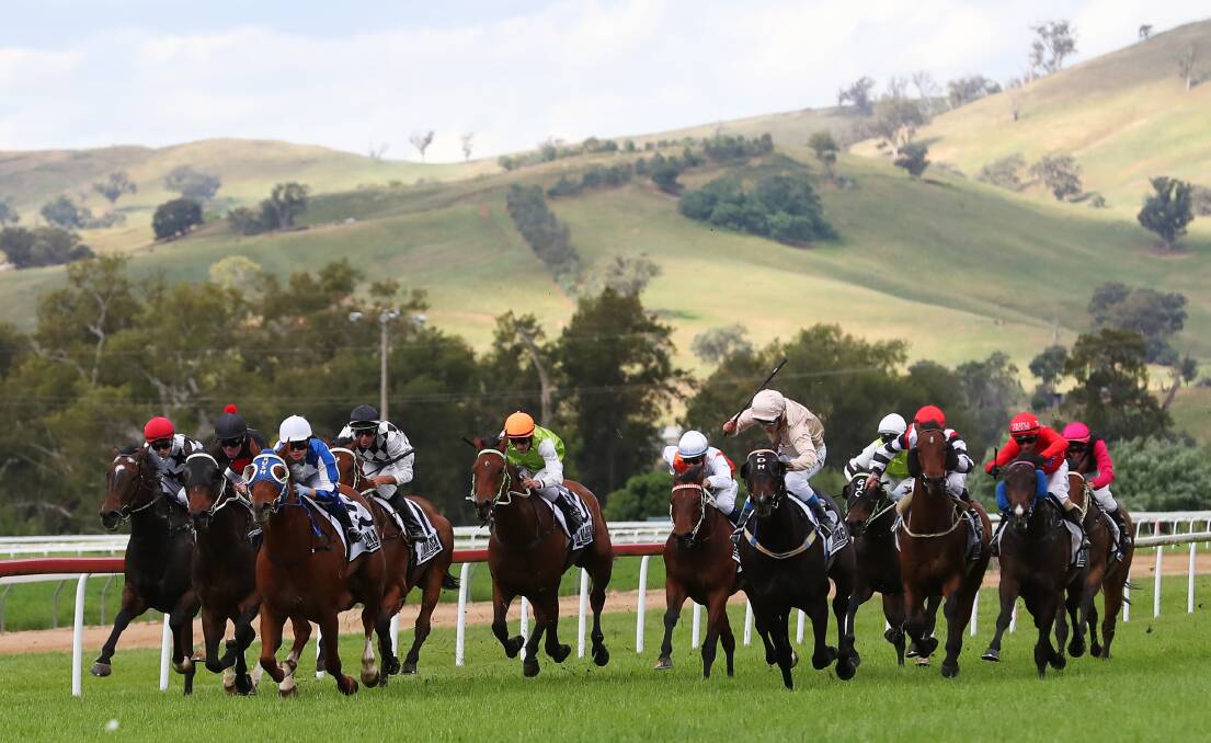 NICE BACKDROP: Gorush Lightning scores an upset win in the Class Three Showcase at Gundagai on Friday. Picture: Emma Hillier